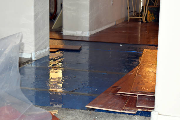 Professional Basement Flood Cleanup technician working in March Air Reserve Base, CA